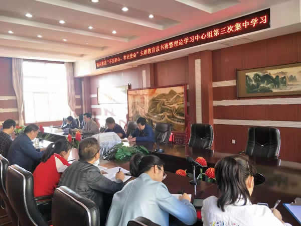 隴運集團(tuán)公司召開“不忘初心、牢記使命”主題教育讀書班暨理論學(xué)習(xí)中心組第三次、第四次集中學(xué)習(xí)會議