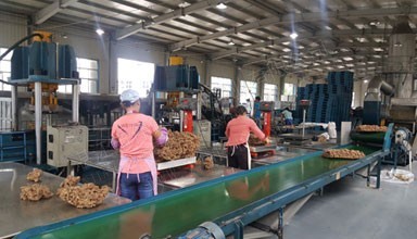 云南西雙版納勐侖寶蓮華4萬噸復合膠工廠